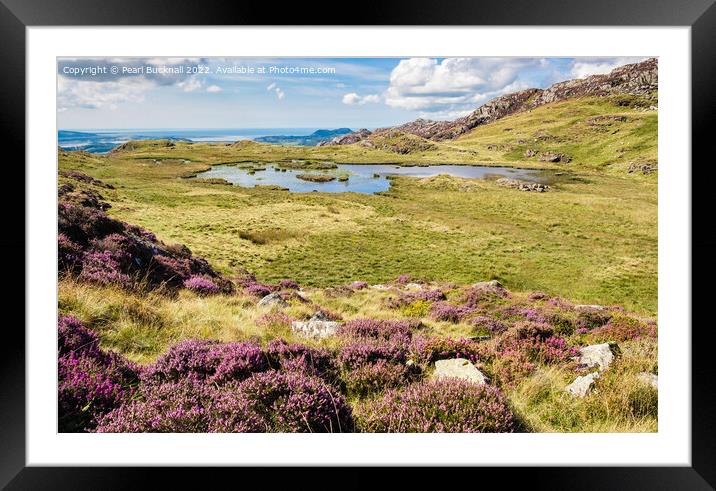 Snowdonia Landscape in Summer Outdoors Framed Mounted Print by Pearl Bucknall