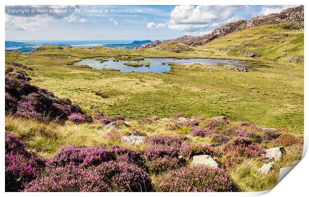 Snowdonia Landscape in Summer Outdoors Print by Pearl Bucknall