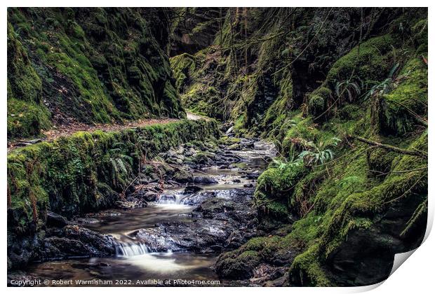 Enchanting Waterfall in Scottish Glen Print by RJW Images