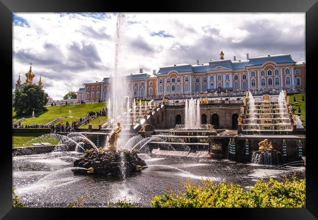 Peterhof Palace & Samson fountain Framed Print by Sally Wallis