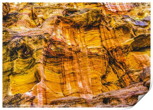 Yellow Cliffs Outer Siq Canyon Petra Jordan  Print by William Perry