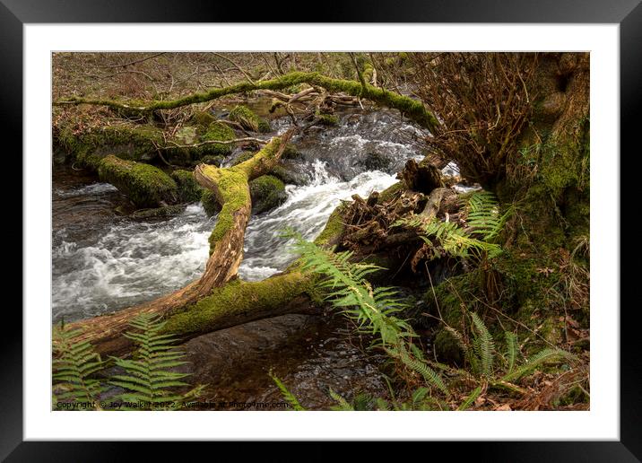 A flowing river Framed Mounted Print by Joy Walker