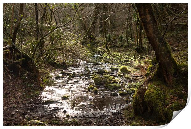 Secluded river Print by Joy Walker