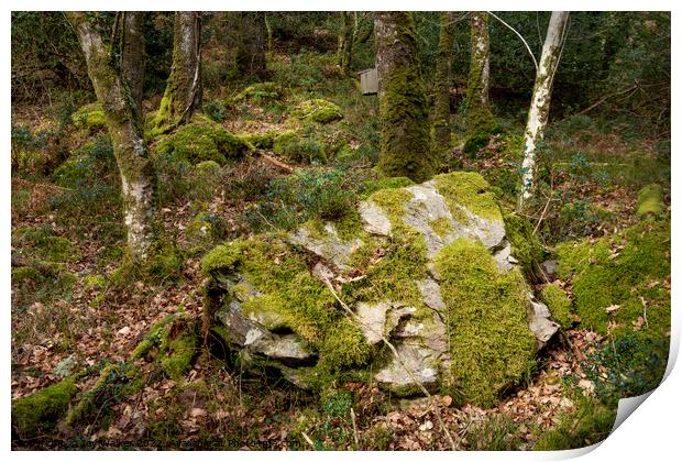 A large stone Print by Joy Walker