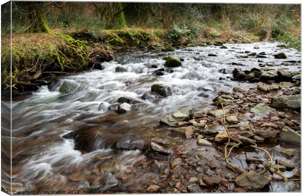 River Horner, Somerset, UK Canvas Print by Joy Walker