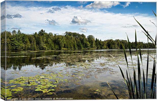 Tranquil Reflections Canvas Print by Ken Oliver