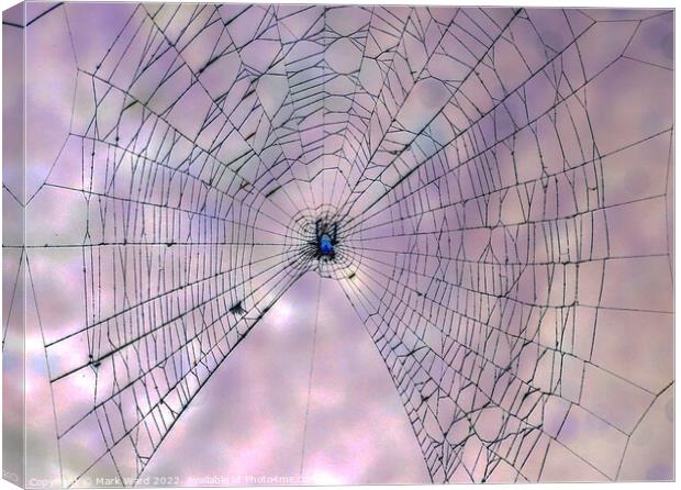 The Web. Canvas Print by Mark Ward
