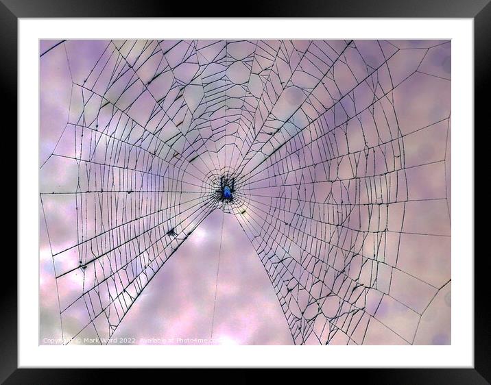 The Web. Framed Mounted Print by Mark Ward
