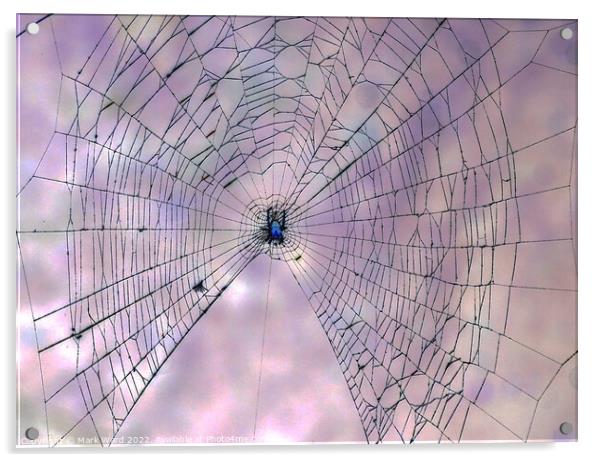 The Web. Acrylic by Mark Ward
