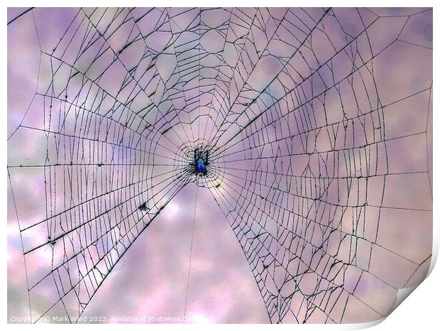 The Web. Print by Mark Ward