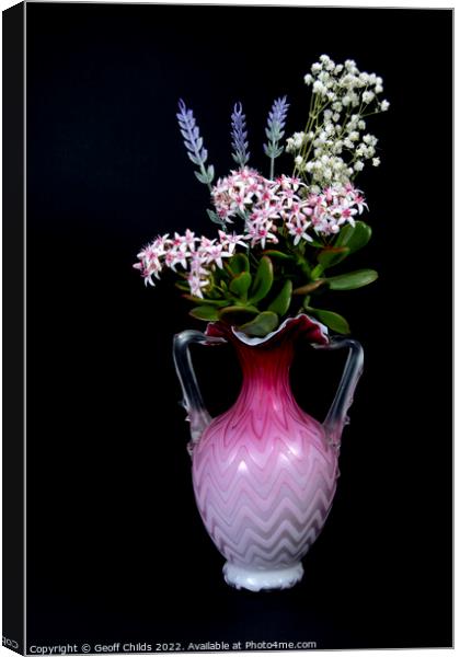 Lavender and Jade Plant in a vase isolated on blac Canvas Print by Geoff Childs