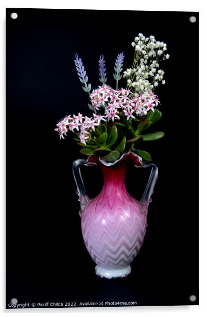 Lavender and Jade Plant in a vase isolated on blac Acrylic by Geoff Childs