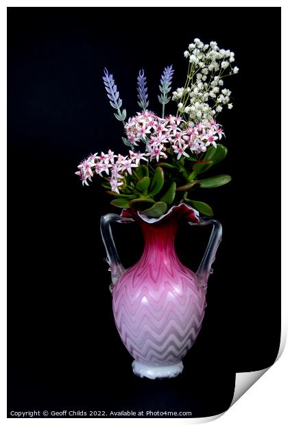 Lavender and Jade Plant in a vase isolated on blac Print by Geoff Childs
