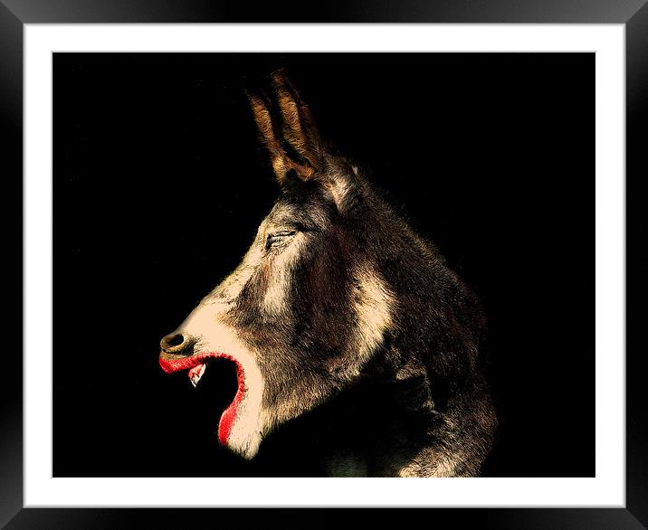 Diva Donkey Framed Mounted Print by Louise Godwin