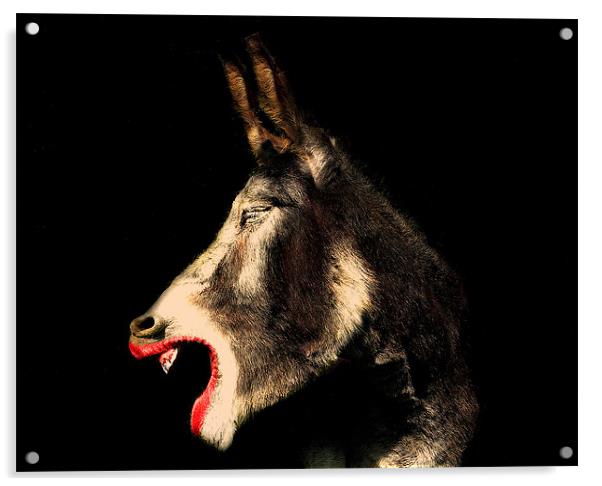 Diva Donkey Acrylic by Louise Godwin