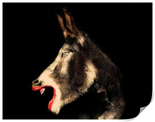 Diva Donkey Print by Louise Godwin