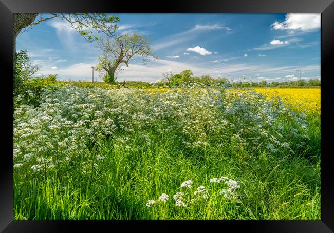 Rural Leicestershire Framed Print by Bill Allsopp