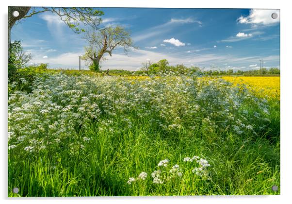 Rural Leicestershire Acrylic by Bill Allsopp