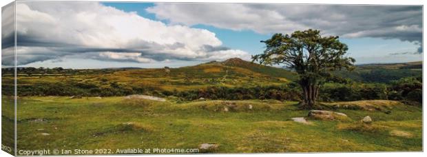 Dartmoor panorama  Canvas Print by Ian Stone