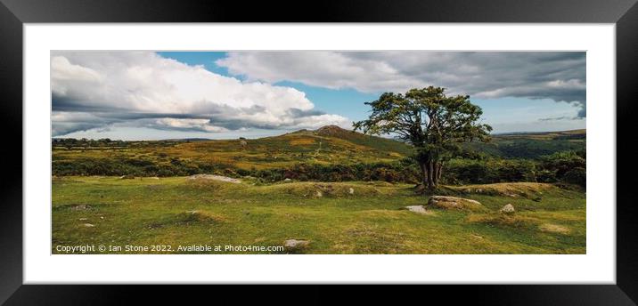 Dartmoor panorama  Framed Mounted Print by Ian Stone