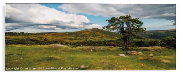 Dartmoor panorama  Acrylic by Ian Stone