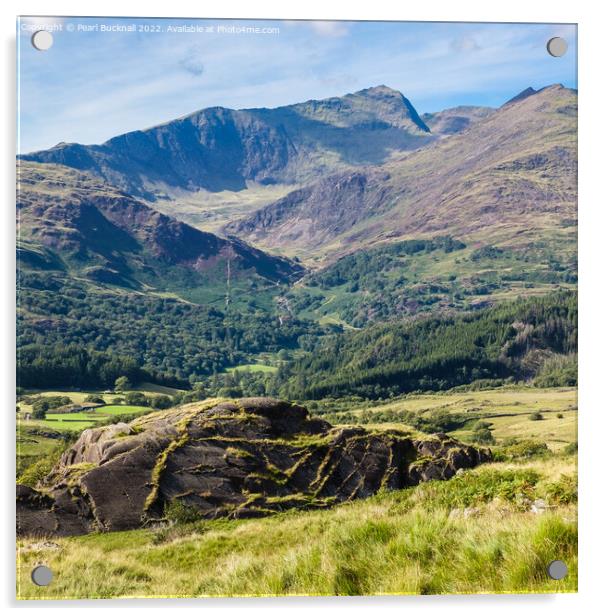 Mount Snowdon from Cnicht Hillside Snowdonia Acrylic by Pearl Bucknall