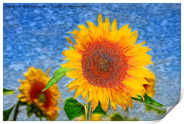 The Sunflower Print by Taina Sohlman