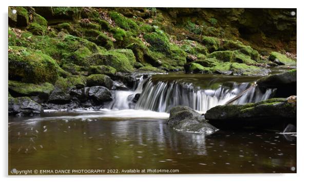 The Waterfalls at Hareshaw Linn, Bellingham Acrylic by EMMA DANCE PHOTOGRAPHY