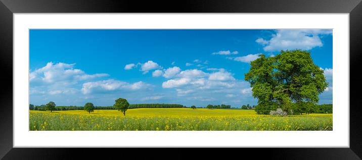 Yellow and green. Framed Mounted Print by Bill Allsopp