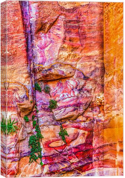 Red Rock Abstract Near Royal Tombs Petra Jordan Canvas Print by William Perry