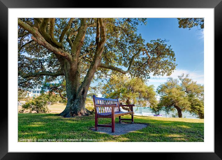 Bench in the shade Framed Mounted Print by Stuart Wyatt