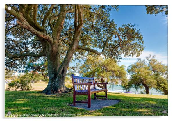 Bench in the shade Acrylic by Stuart Wyatt