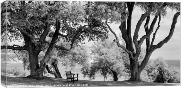 Bench with a view Canvas Print by Stuart Wyatt