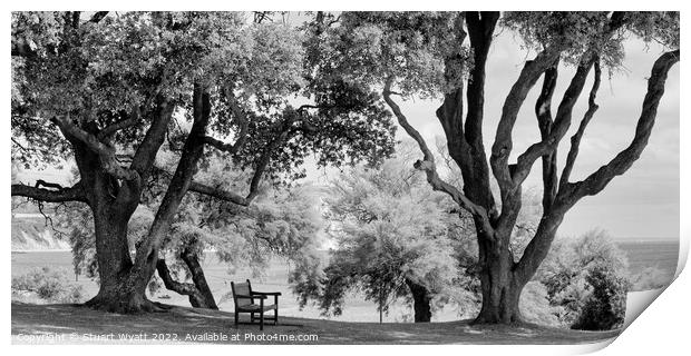 Bench with a view Print by Stuart Wyatt