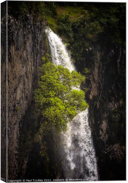 Bridal Veil Falls Canvas Print by Paul Tuckley