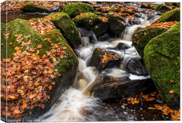 Wyming Brook Autumnal Waterfall Peak District Canvas Print by Craig Yates