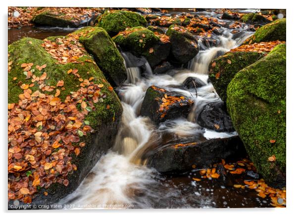 Wyming Brook Autumnal Waterfall Peak District Acrylic by Craig Yates