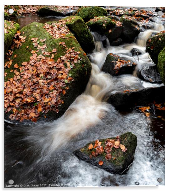 Wyming Brook Autumnal Waterfall Peak District. Acrylic by Craig Yates