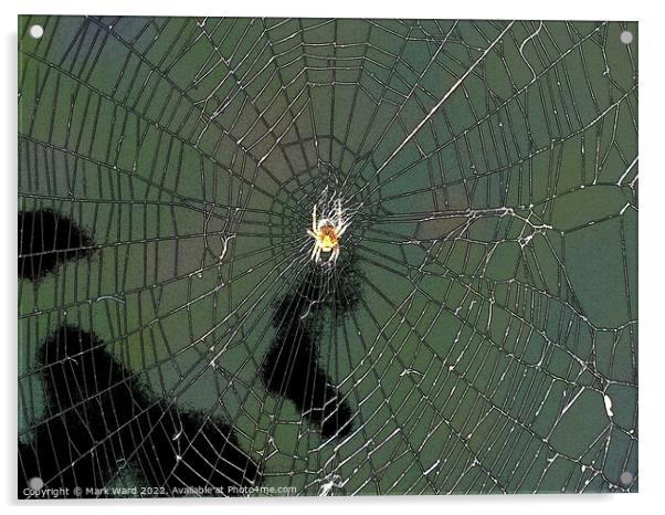 Waiting in the Web. Acrylic by Mark Ward