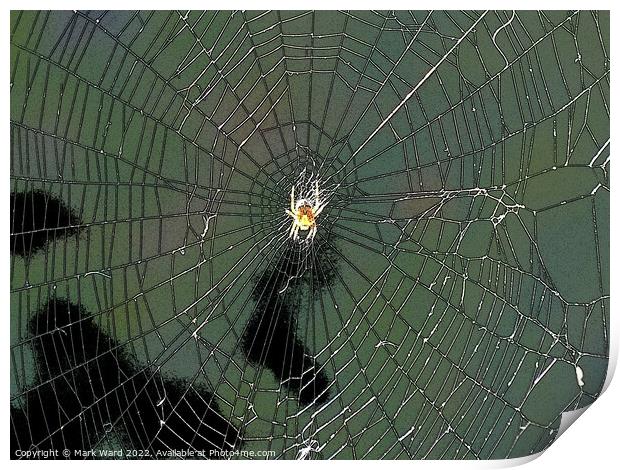 Waiting in the Web. Print by Mark Ward