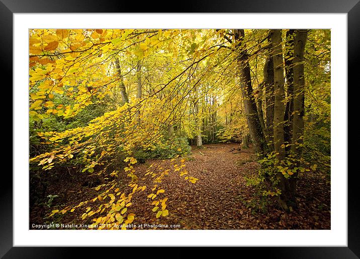 Autumn Woodland Scene II Framed Mounted Print by Natalie Kinnear
