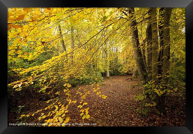 Autumn Woodland Scene II Framed Print by Natalie Kinnear
