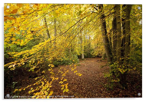 Autumn Woodland Scene II Acrylic by Natalie Kinnear