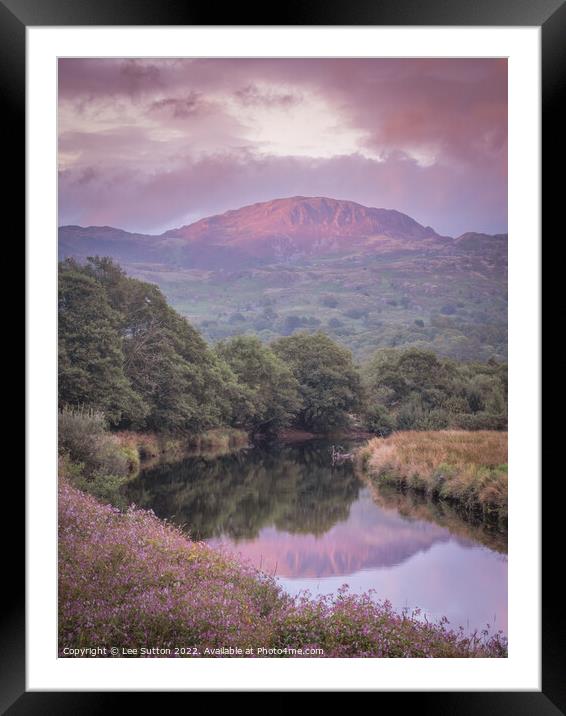 Evening light Framed Mounted Print by Lee Sutton
