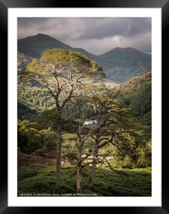 Light and Dark Framed Mounted Print by Lee Sutton
