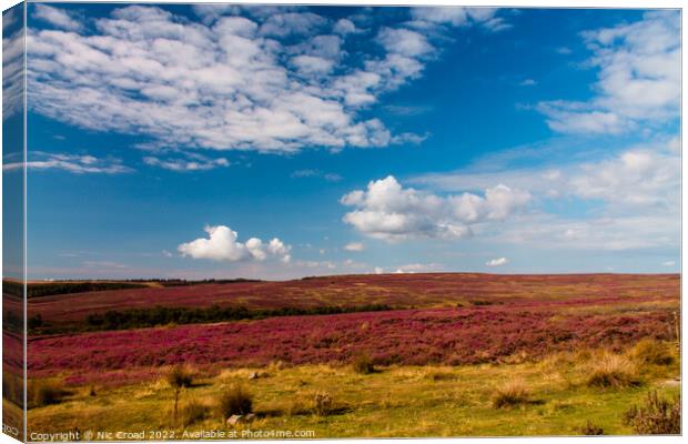 Yorkshire Heather Canvas Print by Nic Croad