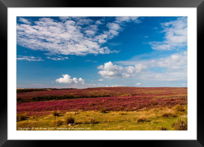 Yorkshire Heather Framed Mounted Print by Nic Croad