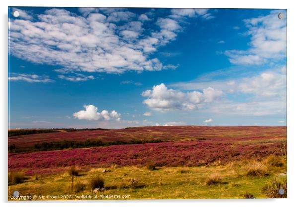 Yorkshire Heather Acrylic by Nic Croad