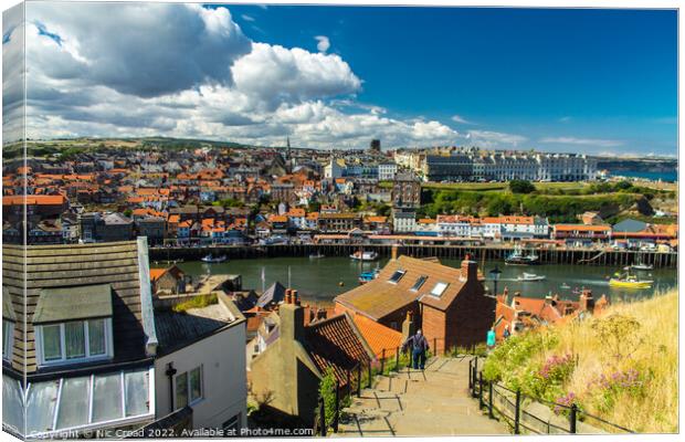 Whitby 199 Steps Canvas Print by Nic Croad