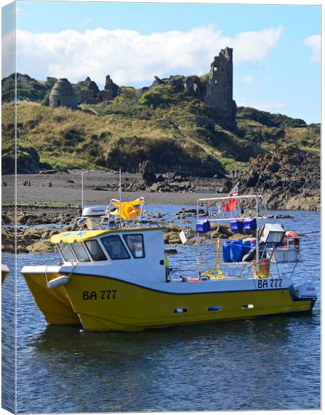 Fishing vessel at Dunure, South Ayrshire Canvas Print by Allan Durward Photography